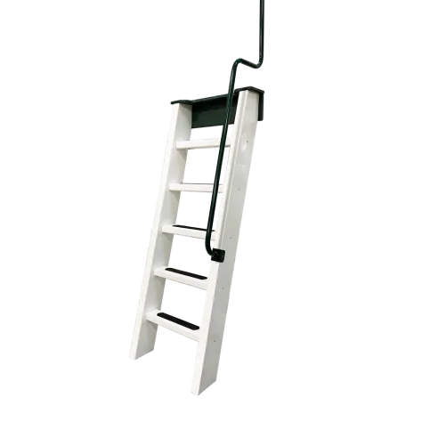 Entrance Ladder 