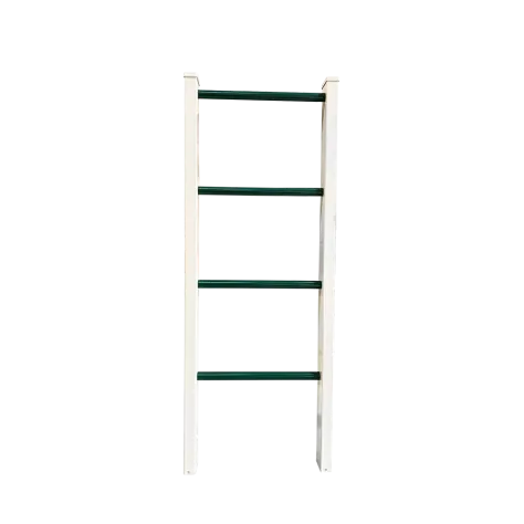 Mounting Ladder